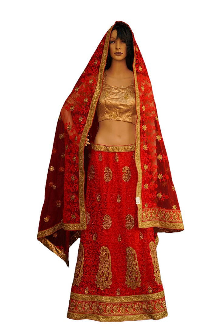 Red and Gold Crop Top Set / Half Saree