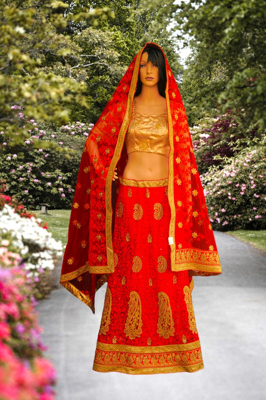 Red and Gold Crop Top Set / Half Saree